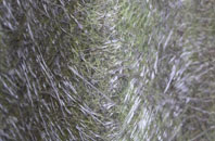 Flemings fibreglass roof work